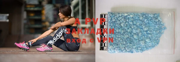 стаф Вяземский