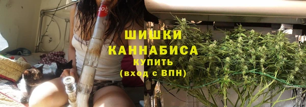 стаф Вяземский