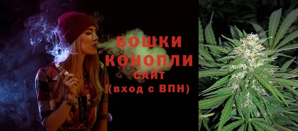 стаф Вяземский